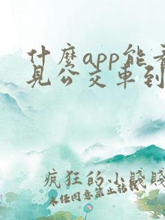 什么app能看见公交车到哪了