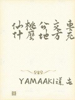 仙桃公交车卡在什么地方充值
