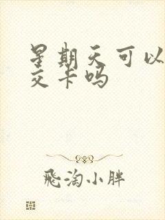 星期天可以办公交卡吗