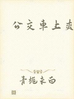 公交车上爽