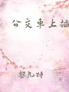 公交车上插女人