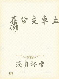 在公交车上被高潮