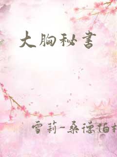 大胸秘书