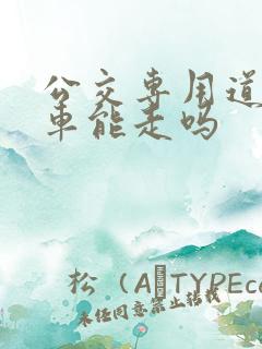 公交专用道私家车能走吗