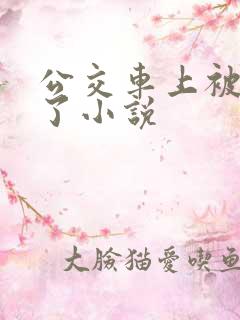 公交车上被乱操了小说