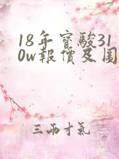 18年宝骏310w报价及图片
