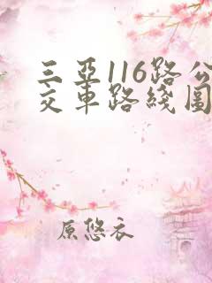 三亚116路公交车路线图