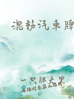 混动汽车牌照