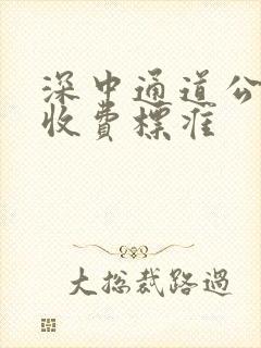 深中通道公交车收费标准