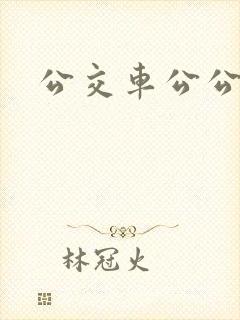 公交车公公儿媳