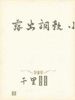 露出调教 小说