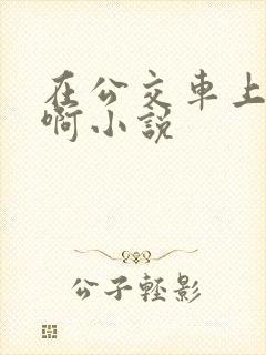 在公交车上被嗯啊小说