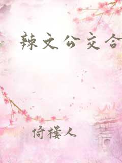 辣文公交合集