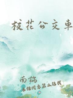 校花公交车np