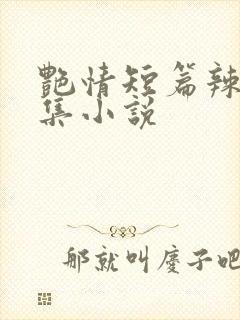艳情短篇辣文合集小说