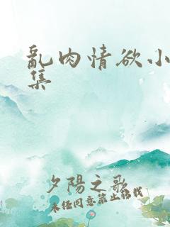 乱肉情欲小说全集