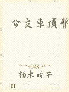公交车顶臀