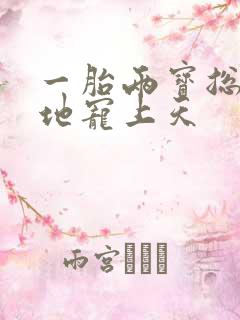 一胎两宝总裁爹地宠上天