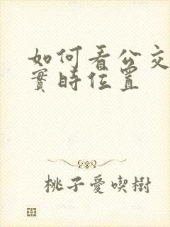 如何看公交车的实时位置