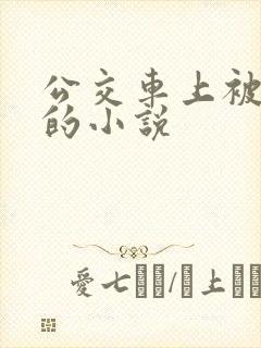 公交车上被进入的小说