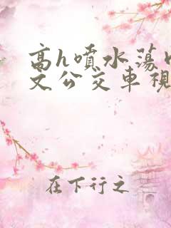 高h喷水荡肉爽文公交车视频