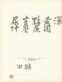 尿有点黄浑浊是什么原因