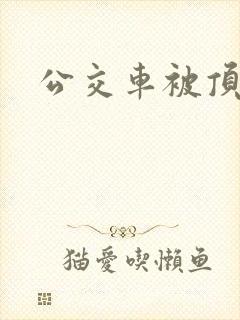 公交车被顶小说