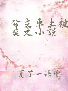 公交车上被强上爽文小说