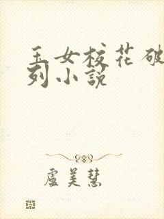 玉女校花破瓜系列小说