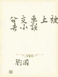 公交车上被插进去小说