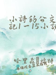 小诗的公交车日记1一15小说