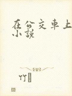 在公交车上被 小说
