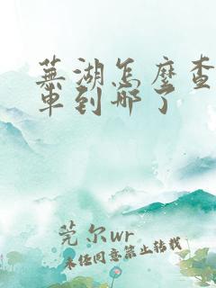 芜湖怎么查公交车到哪了