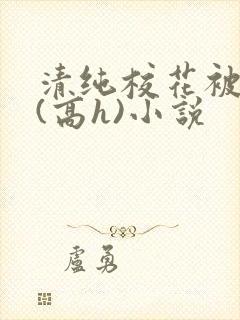 清纯校花被调教(高h)小说