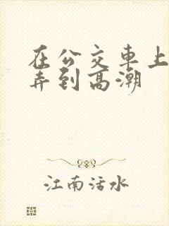 在公交车上被人弄到高潮