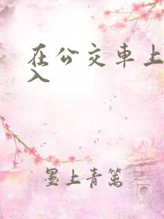 在公交车上被强入