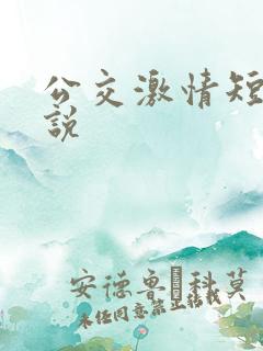 公交激情短篇小说