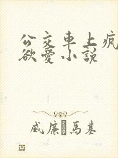 公交车上疯狂做欲爱小说
