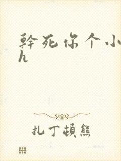 干死你个小骚货h