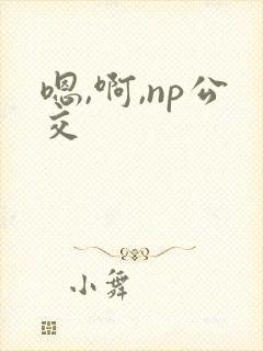 嗯,啊,np公交
