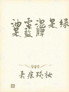 油电混是绿牌还是蓝牌
