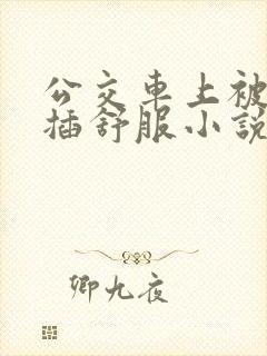 公交车上被摸被插舒服小说