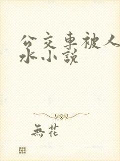 公交车被人摸出水小说