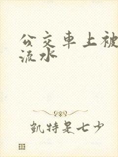 公交车上被蹭到流水