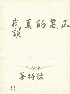 我真的是正派小说