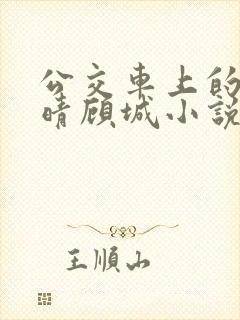 公交车上的诗请晴顾城小说