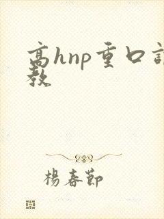 高hnp重口调教