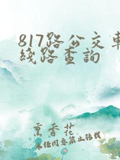817路公交车线路查询