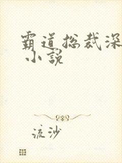 霸道总裁深深爱 小说