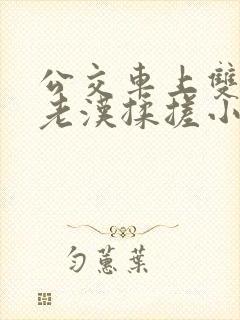 公交车上双乳被老汉揉搓小说